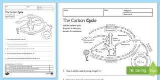 Carbon is in the earth's atmosphere in the form of carbon dioxide. Ks3 Carbon Cycle Homework Worksheet Science Resource Twinkl