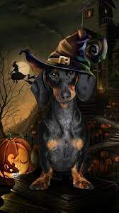 Halloween Dachshund Art Halloween Cat Dapple Dachshund