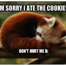 When threatened, a red panda will try to escape by running up a rock or tree. Red Panda Ate The Cookies By Icebatboy Meme Center