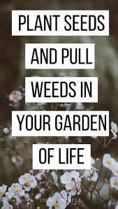 How to plant seeds in your garden. Plant Seeds And Pull Weeds In Your Garden Of Life Living Like Leila