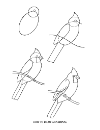 How To Draw A Cardinal Bird Drawings Drawings Art