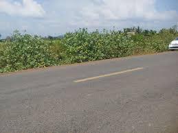 📣សួស្ដីបងប្អូននាងខ្ញុំសូមណែនាំដីមួយកន្លែងដែលម្ចាស់ប្រញាប់លក់បន្ទាន់។ដីលក់ជាប់ផ្លូវជាតិ  ✔️ទំហំដី 115m ×70m 📍ទីតាំងដីស្ថិតនៅភូមិ ...