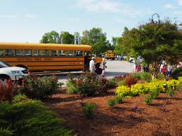 Check spelling or type a new query. General Field Trip Botanical Garden Of The Ozarks