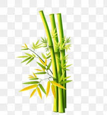 Asian motifs, orchids, stones in combination with bamboo. Bamboo Painting Drawing Chinese Painting Png 621x902px Bamboo Art Artwork Bamboe Bamboo Painting Download Free