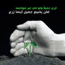 النجاح نت Annajahnet Instagram Photos And Videos