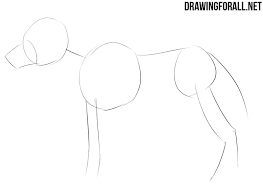 Check spelling or type a new query. How To Draw An Anime Animal