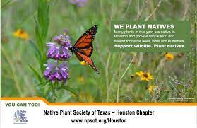 The best flowers for bees will bloom for a long period of time, or can be prompted to bloom in both spring and summer, or summer and fall. Go Native Native Plant Society Houston Chapter