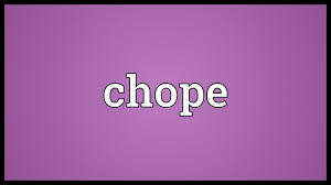 Chope's mission is to help busy diners find availability and make reservations painlessly at asia's best restaurants. Chope Meaning Youtube