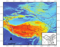 Image result for Dichilus lebeckioides