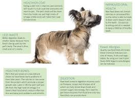 Well, dogs love raw food, and it's good for their health too. Benefits Of Raw Pet Food Steves Real Food