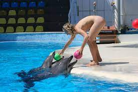 Naked girl hanging out with the dolphins Porn Pic - EPORNER