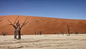 Piera d'alessio ci racconterà il suo. Viaggio In Namibia In Solitaria Siviaggia
