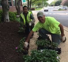 Lawn maintenance property maintenance trash hauling. What Landscaping Jobs Are Available With No Experience