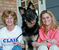Puppies and dogs in wisconsin. Shiloh Shepherds Are Rare Breed Savage News Swnewsmedia Com