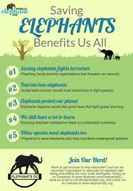 Pin On Save Wildlife