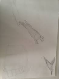 deze les heb ik de hond en het zwembad gedeeltelijk gemaakt ik ben blij met de hond en de volgende les wil ik meer perspectief aanbrengen in het tekenen honden