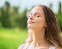 What Is The Nitrogen Cycle? How Have Humans Affected It?