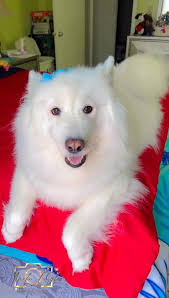 Sending a big virtual hug to all my incredible fans! 🤗❤️