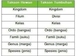 Urutan takson hewan dan tumbuhan. Urutan Taksonomi Biologi