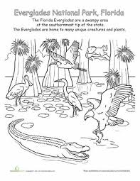 Check spelling or type a new query. Food Chain Coloring Pages Pdf Novocom Top