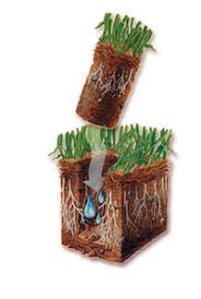 Aeration Second Nature Lawn Care 1465689 Png Images Pngio