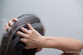 Untukmu yang memiliki rambut tipis, yuk simak berbagai cara melebatkan rambut dengan mudah di artikel ini. 7 Penyebab Uban Muncul Di Usia Muda Sebagian Besar Bisa Dicegah