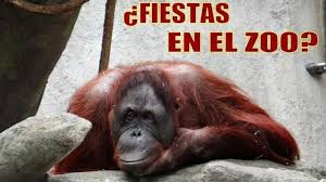 VISITA AL ZOO
