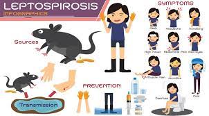 Akan tetapi tujuan saya menulis artikel ini. Penyakit Leptospirosis Gejala Penyebab Pengobatan Klikdokter Com