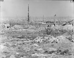 Image result for Flat White 1918 Military