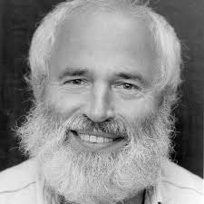 Which pan trap colors are attractive for bees?