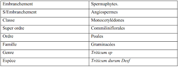 1 mots correspondants 47 mots probables 35 mots. Http Dspace Univ Guelma Dz 8080 Xmlui Bitstream Handle 123456789 1004 M 20570 20885 20ecologie Pdf Sequence 1 Isallowed Y