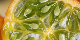 Rare fruit baby names we recommend include avalon, mirabelle, plum, and fraser, which is a top name for boys in scotland. Exotic Fruits And Vegetables Different Uncommon Fruits And Vegetables