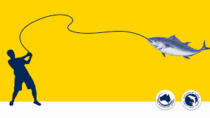 Sustainability Sirena Tuna
