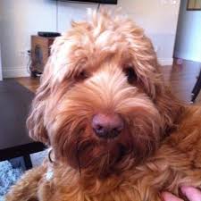 Barb Kidd (@bkiddjibc)