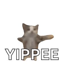 Yippee GIFs | Tenor