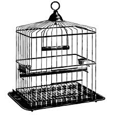 39+ bird cage coloring pages for printing and coloring. Sketch Of Bird Cage Coloring Pages Best Place To Color