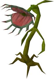 A mysterious farm existed beyond the door. Stranger Plant Runescape Wiki Fandom