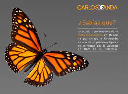 Pin En Contenido De Valor