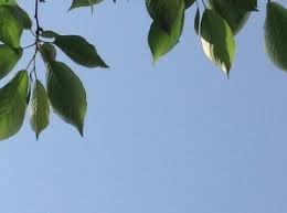 Friday April 25th 2014 Gba Garubeas Diary