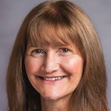 Mole Valley local election: The 5 candidates in Ashtead Park