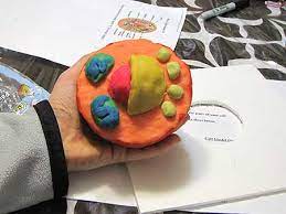 Maybe you would like to learn more about one of these? Cell Model School Craft Project Woo Jr Kids Activities Children S Publishing