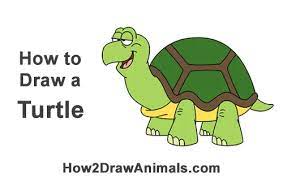 How To Draw A Turtle / Tortoise (Cartoon)