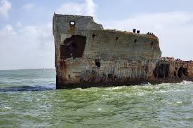 Maybe you would like to learn more about one of these? Spacetraveller Activity Dolphin Sightseeing Tour In