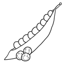 Color image of green pea pod on white background. Peas Coloring Pages Coloring Home