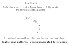 Fatty Acids Carbon Carbon Double Bonds