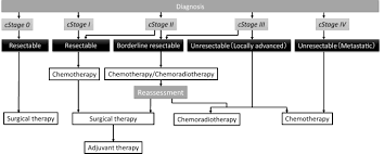It's important to weigh the benefits of each treatment option against the possible risks and side effects. Recent Advances In Chemotherapy For Pancreatic Cancer Evidence From Japan And Recommendations In Guidelines Springerlink