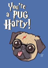 Harry Pug By Ben Farr Pug Cartoon Pug Art Pugs