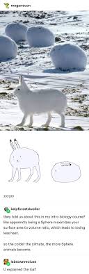 Pin By Elligrace On Fluffable Tumblr Posts Funny Animals Animal Memes