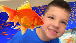 🐠🐟Beat Bugs Yellow Submarine Toy!!! #smilewithcici #cici