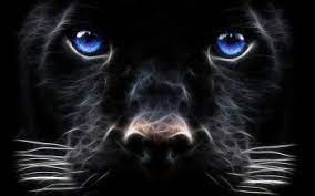 Hd Wallpaper Background Image Id 151098 Dog Wallpaper Animals Animal Wallpaper